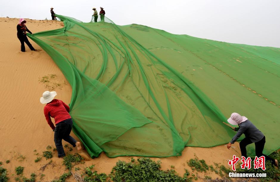 الصحراء ترتدي "فستان اخضر" في تشنغتشو الصينية 