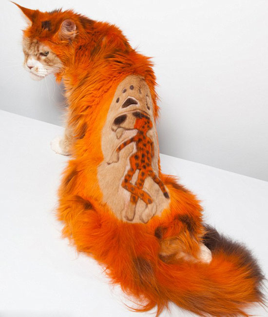 أعمال فنية إبداعية تزين أجساد قطط 
