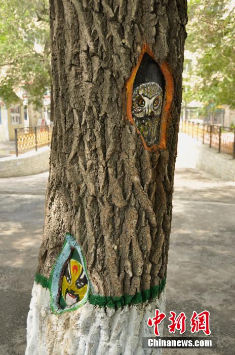 "الرسوم الملونة الإبداعية" على أجسام الأشجار 