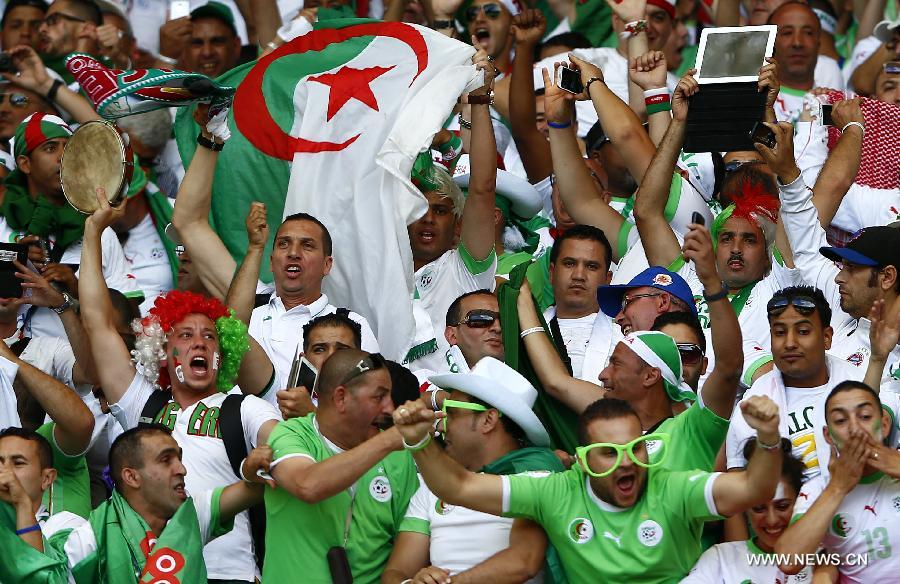 تحقيق: الفلسطينيون يعلقون أمالهم على منتخب الجزائر ممثل العرب الوحيد في بطولة كأس العالم لكرة القدم