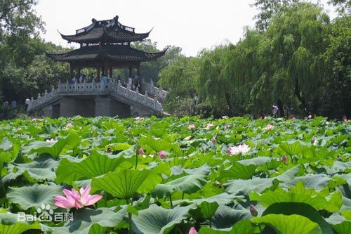 السياحة في الصين: انطباع عن مدينة هانغتشو 
