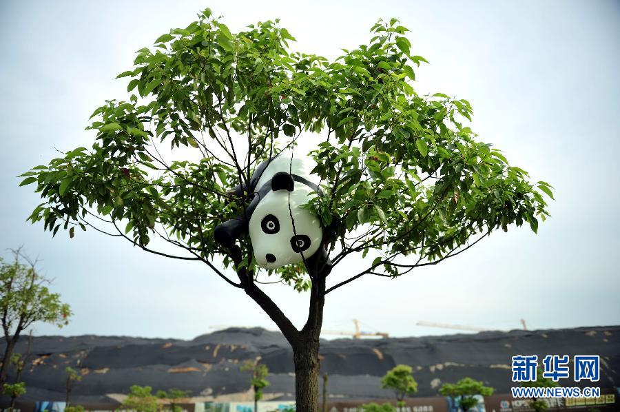 الف تمثال باندا ظريفة تغمر مدينة يانغتشو بشرق الصين 