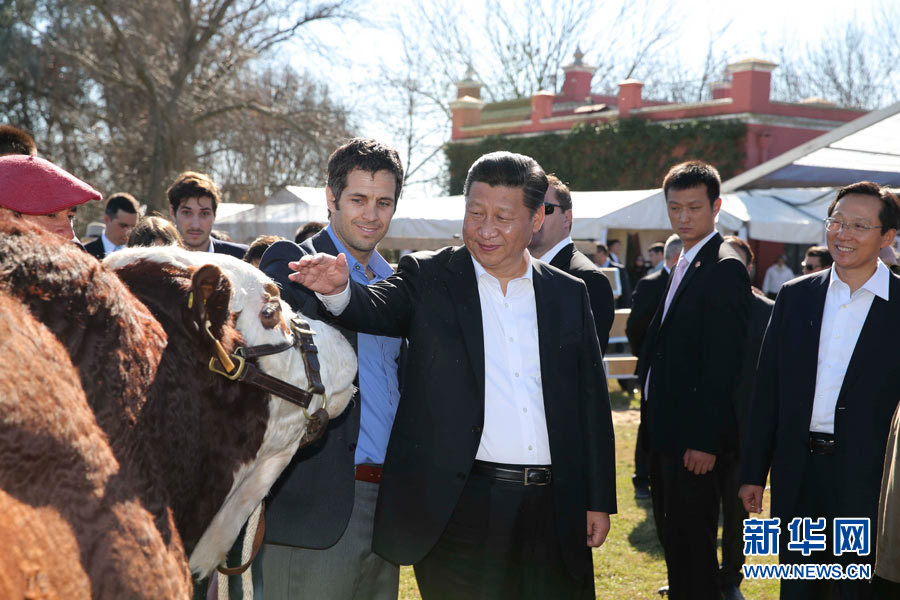 الرئيس الصيني يزور مزرعة أرجنتينية ويؤكد على تعزيز التعاون الزراعي