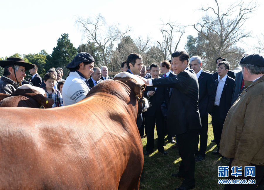الرئيس الصيني يزور مزرعة أرجنتينية ويؤكد على تعزيز التعاون الزراعي