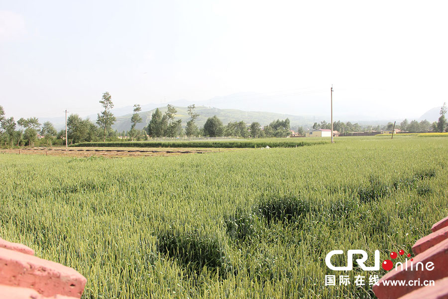 يقيم في قرية شياشيو 2093 ساكنا، أي ما مجموعه 450 أسرة، والمصدر الرئيسي لدخولهم هو زراعة المحاصيل والمحاصيل النقدية، ويبلع معدل نصيب الفرد من الدخل السنوي أكثر من 9000 يوان.   