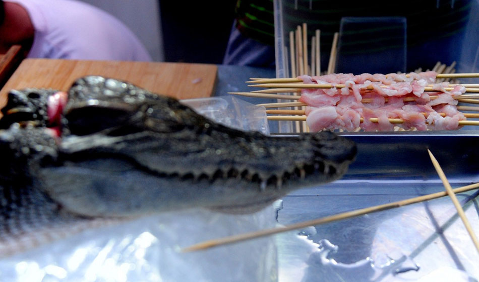 بيع لحم التماسيح في مدينة شنيانغ الصينية يثير جدلا 