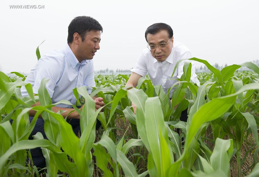 رئيس مجلس الدولة الصيني يؤكد أهمية الحضرنة والزراعة الحديثة