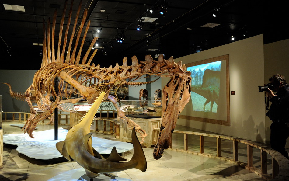 العثور على أول ديناصور يأكل سمك القرش