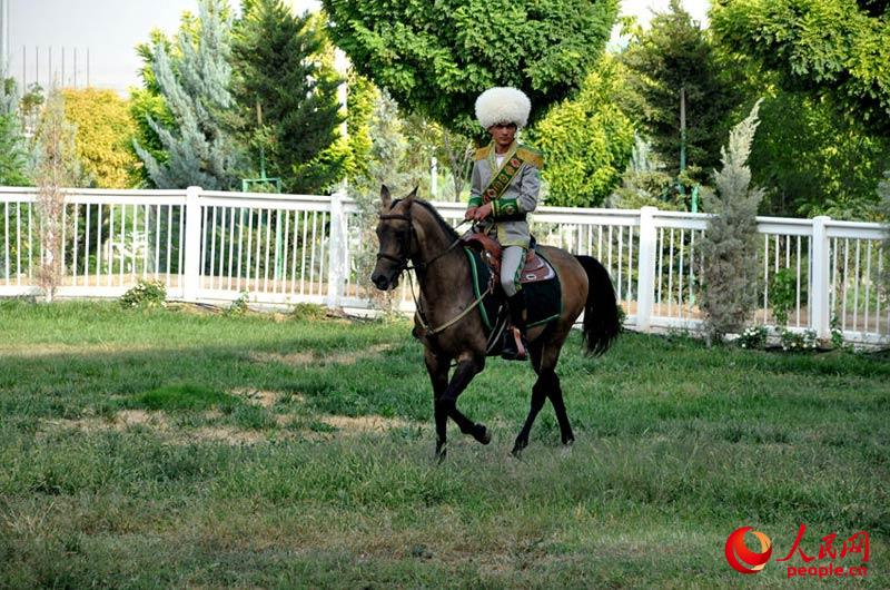 سبر أغوار خيول فرغانة الأكثر نقاوة