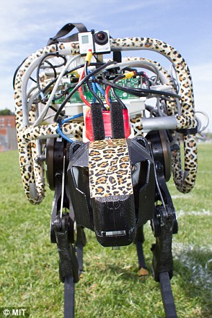 علماء يبتكرون الروبوت الفهد، سرعته تفوق العداء بولت