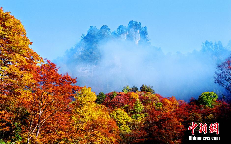 الخريف أجمل فصل في مقاطعة سيتشوان الصينية