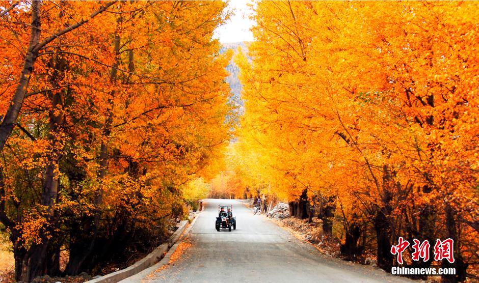 الخريف أجمل فصل في مقاطعة سيتشوان الصينية