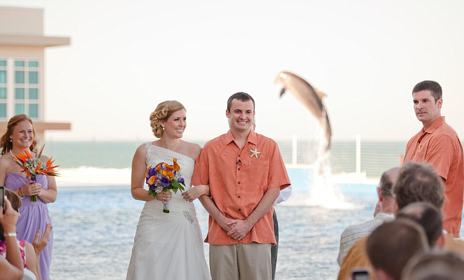 الدلافين تشهد حفلة زفاف الزوجين الأمريكيين