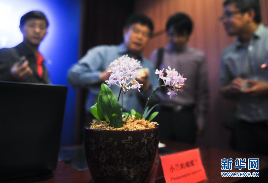 عالم صيني يرأس انجاز أول تسلسل الجينات لزهرة السحلب فى العالم
