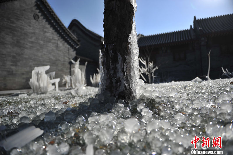 "غابة جليدية" تظهر بجامعة بكين بعد موجة البرد التي ضربت العاصمة الصينية
