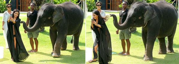 10، تعرضت الممثلة وعارضة الأزياء الأميركية كيم كارداشيان لهجوم من فيل أثناء محاولة التقاط صورة سيلفي.