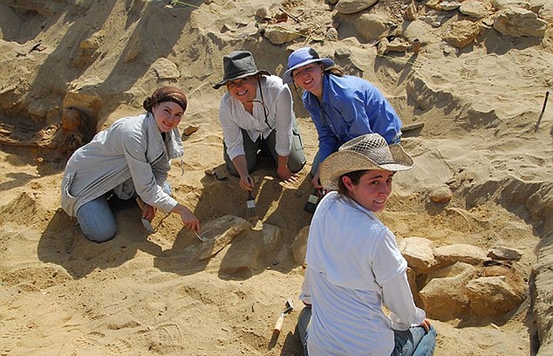 اكتشاف مقبرة عملاقة تعود إلى 1500 سنة في مصر، وفيها مليون مومياء
