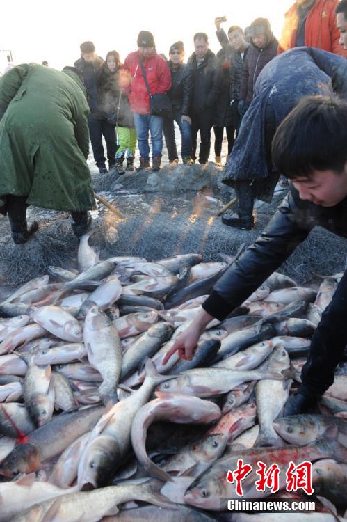 افتتاح مهرجان صيد الأسماك الشتوي في جيلين وبيع أول سمكة ب360 ألف يوان