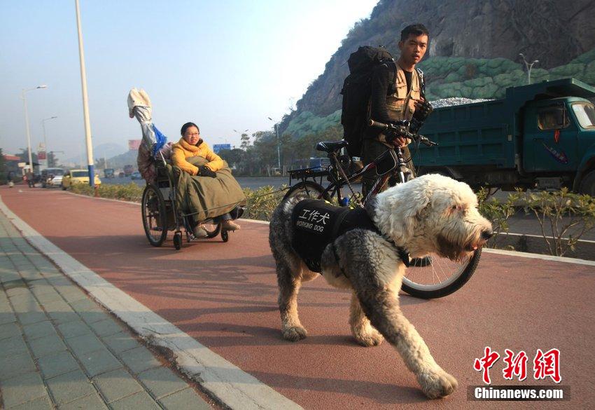 شاب صيني يستخدم عربة مجرورة بالكلاب ليطوف بصديقته المريضة في أنحاء الصين