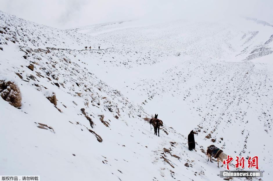 يسير البربر في وادي جبال الأطلس العالية في 14 فبراير عام 2015.