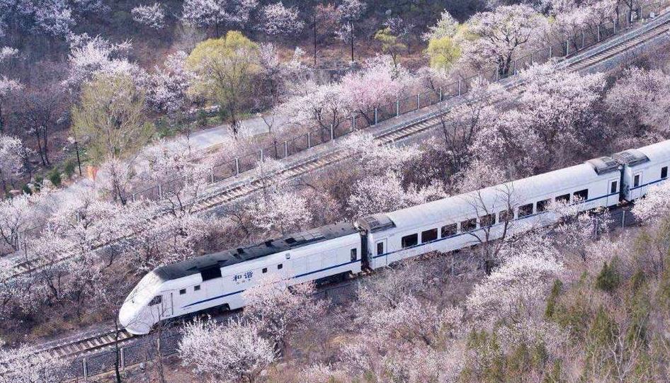 مجموعة صور: قطار نحو الربيع