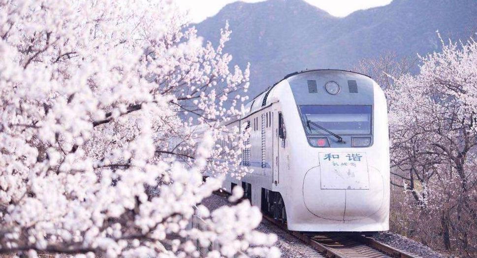 مجموعة صور: قطار نحو الربيع