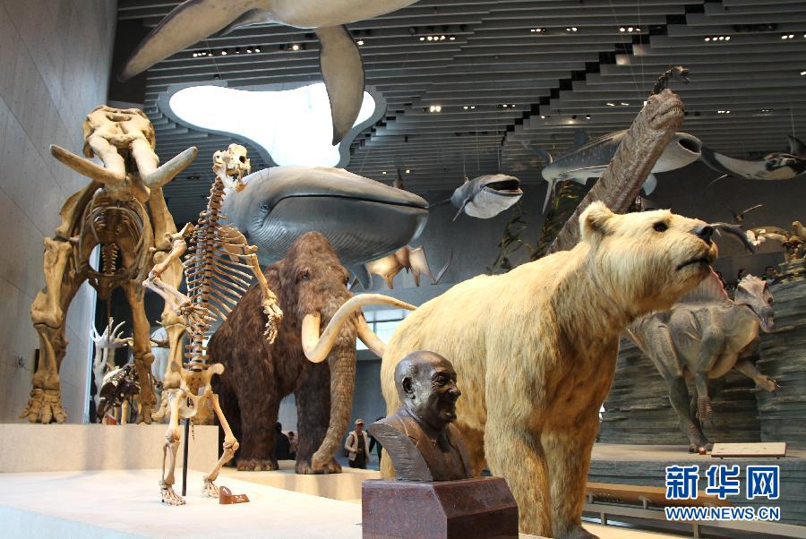 افتتاح أول متحف طبيعة تحت موضوع محدد في العالم بشانغهاي