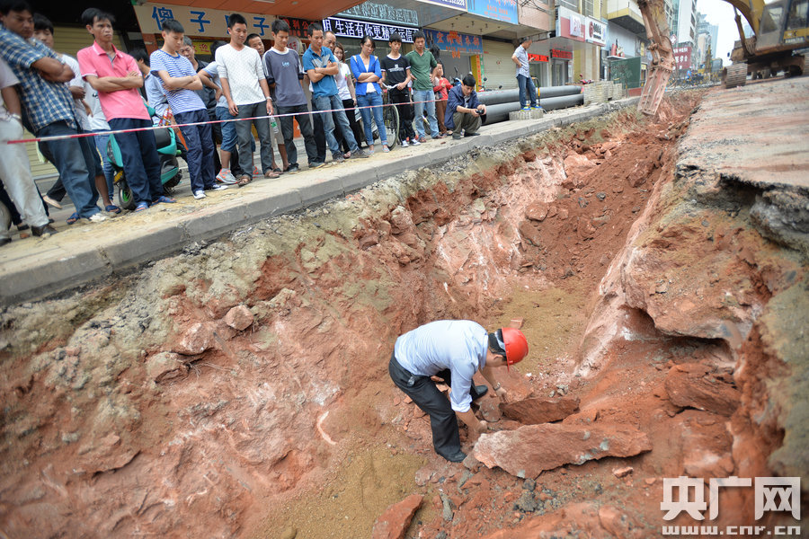 اكتشاف نادر ل 43 بيضة ديناصور متحجرة وسط مدينة صينية