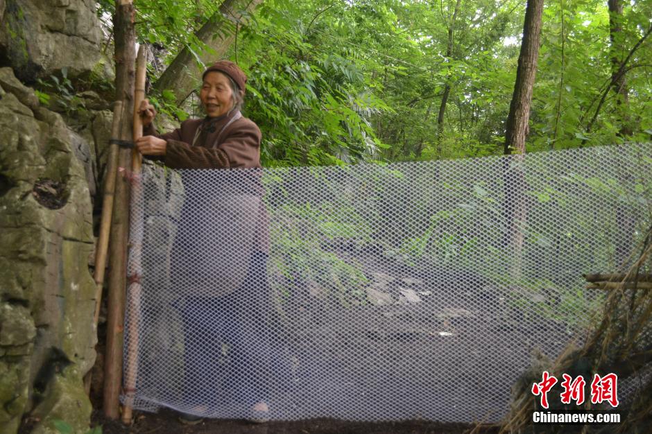 قصة بالصور: عائلة صينية تعيش في الكهف لمدة نصف قرن