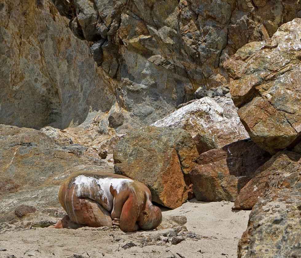 فنان سويسري يبتكر الرسوم على جسم الانسان بألوان متمازجة مع البيئة