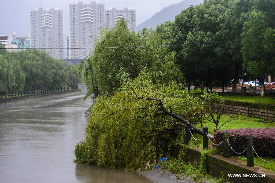 الإعصار تشان-هوم يحل باليابسة شرقي الصين