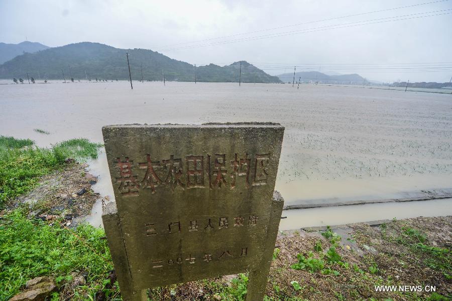 الإعصار تشان-هوم يحل باليابسة شرقي الصين