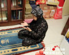 قضاء شهر رمضان مع أسرة مسلمة ببكين