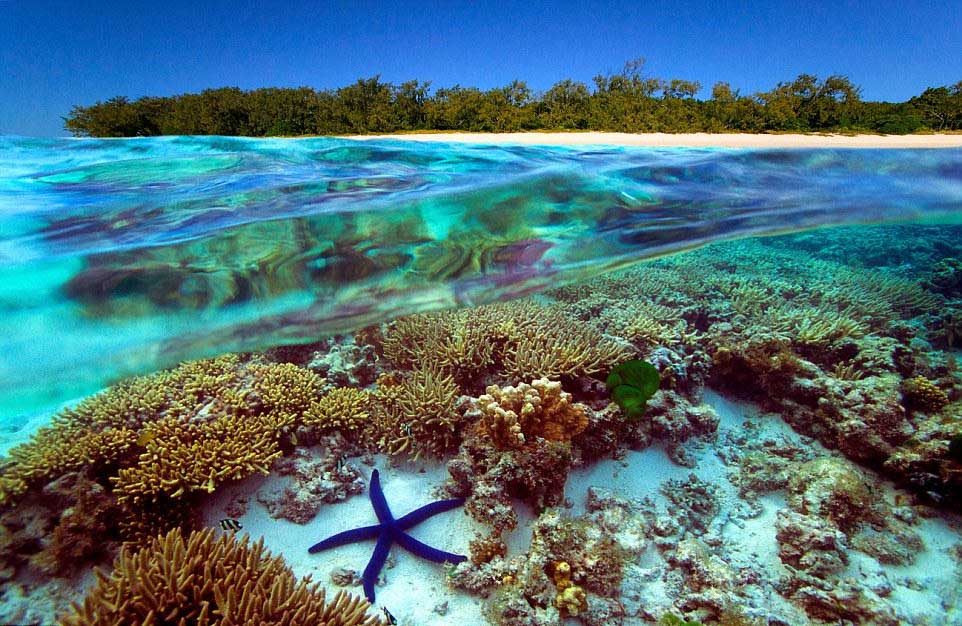 المركز التاسع،  الحاجز المرجاني العظيم في أستراليا 