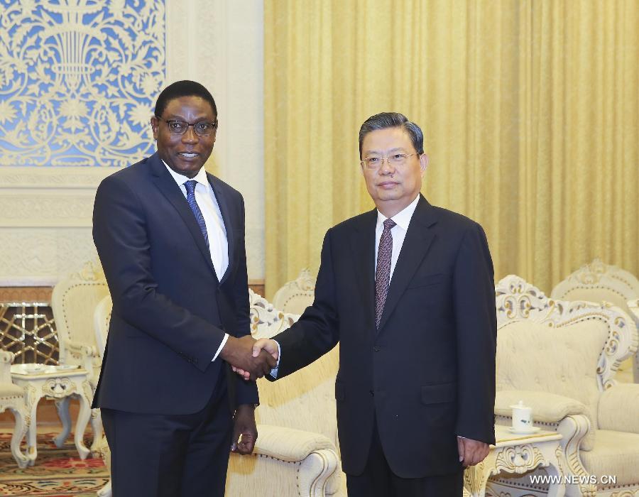 مسئول كبير بالحزب الشيوعى الصينى يجتمع مع وفد من الكونغو الديمقراطية