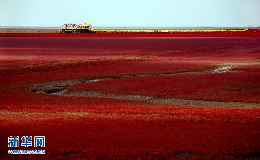 مشاهد الخريف الفريدة－شاطئ البحر الأحمر في شمال شرقي الصين
