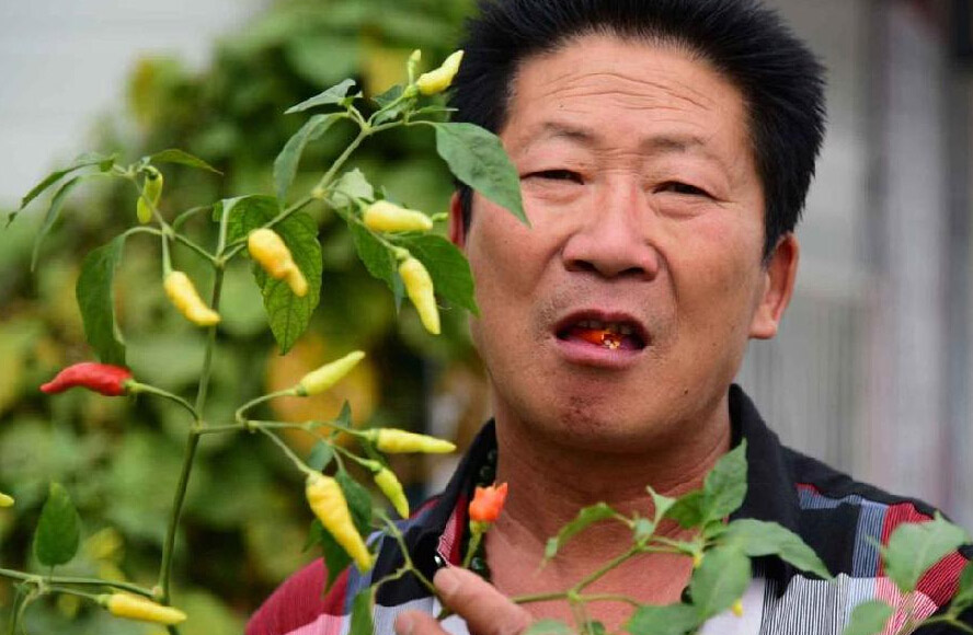"ملك الفلفل الحار "الصيني يأكل 2.5 كلغ من الفلفل الحار كل يوم