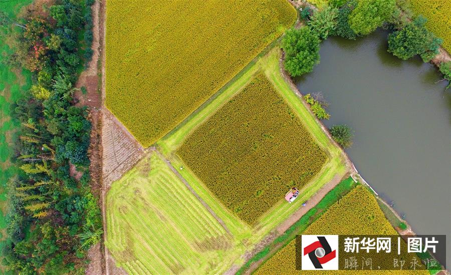 صور جوية للصين الملونة فى عام 2015