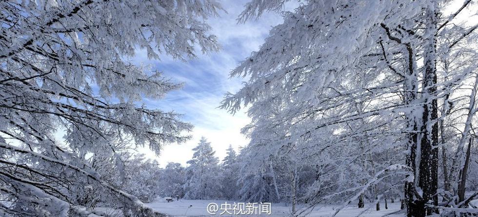 أجمل عالم الثلوج في أقصى شمال الصين