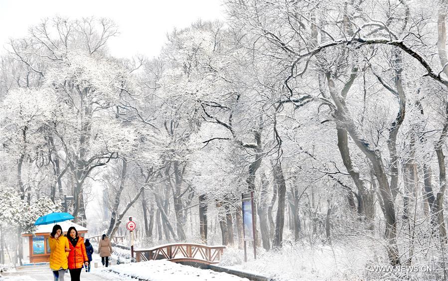 الصين الجميلة: الثلوج البيضاء تزين بحيرة وانفو في شرقي الصين