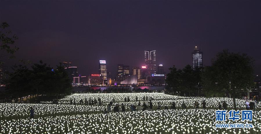 مصابيح بشكل الورود تضيء ميناء فيكتوريا في هونغ كونغ لاستقبال عيد الحبّ