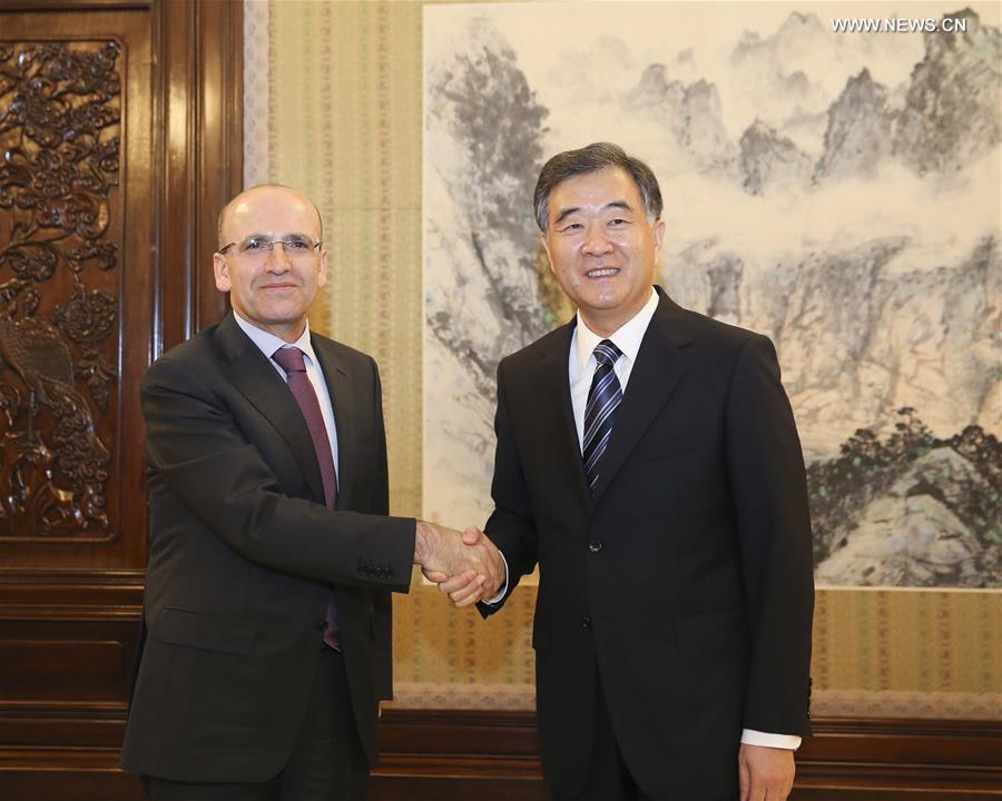نائب رئيس مجلس الدولة الصيني يلتقي نظيره التركي