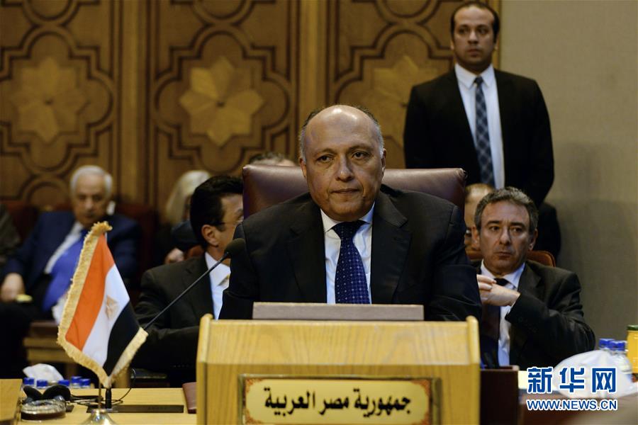 وزراء الخارجية العرب يقرون أحمد أبو الغيط أمينا للجامعة العربية