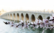 بصور: القصر الصيفي يلبس أبهى حلة في فصل الربيع
