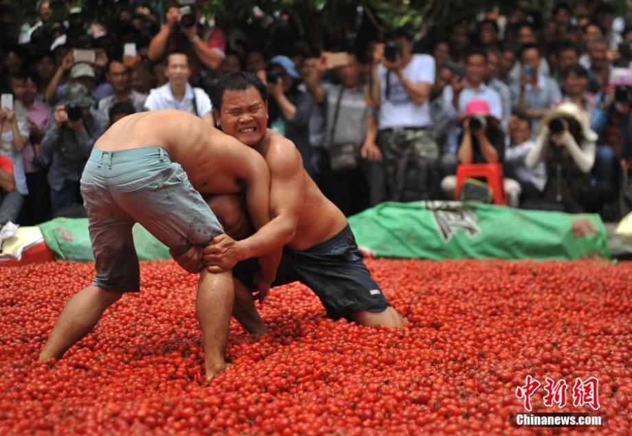 بالصور..المصارعة فى بركة الطماطم