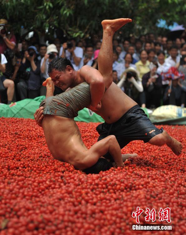 بالصور..المصارعة فى بركة الطماطم