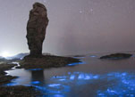 مناظر نادرة.. بحر داليان زجاجي يشبه نهر من النجوم