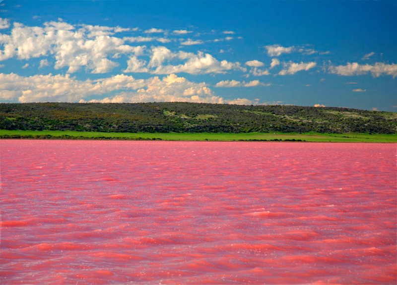 بحيرة في روسيا يتغير لون مياهها إلى الوردي كل أغسطس