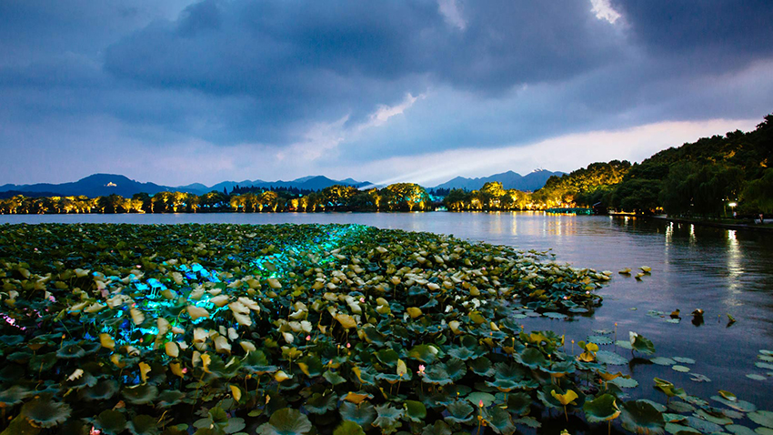 البحيرة الغربية ... لؤلؤة ساطعة تزين مدينة هانغتشو