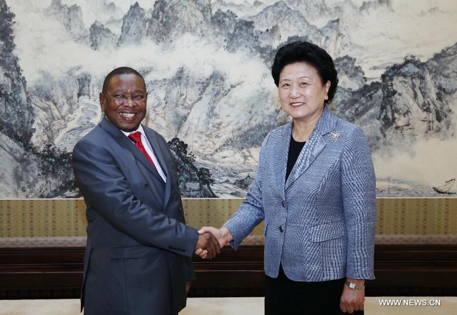 نائبة رئيس مجلس الدولة الصيني تلتقي بوفد من الحزب الشيوعى لجنوب افريقيا